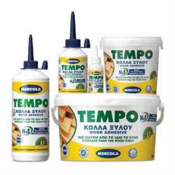 ΚΟΛΛΑ TEMPO 500GR ΣΙΔΗΡΙΚΑ
